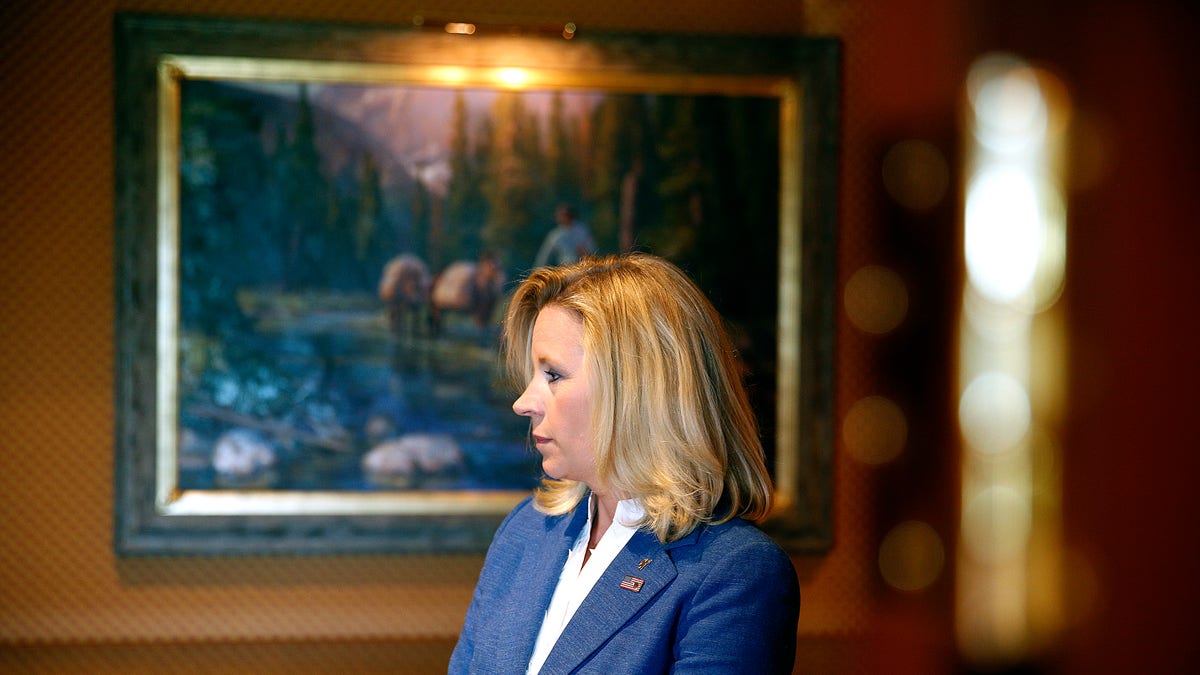 CHEYENNE, WY - JULY 17:  Wyoming Senate candidate Liz Cheney waits in the hallway for a news conference to begin at the Little America Hotel and Resort in Cheyenne, Wyoming on July 17, 2013. Cheney, the daughter of former Vice President Dick Cheney, will run against longtime incumbent Sen. Mike Enzi (R-WY). Cheney launched her campaign yesterday following Enzi's announcement that he will run for a fourth term.  (Photo by Marc Piscotty/Getty Images)