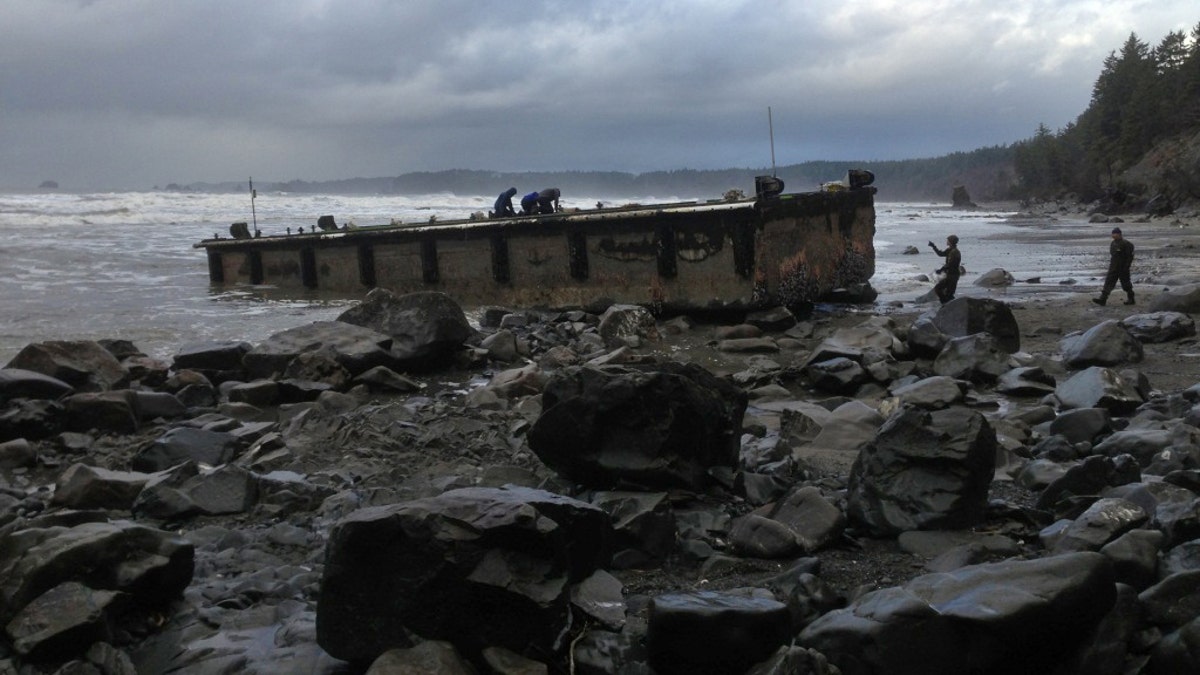 Tsunami Debris Dock