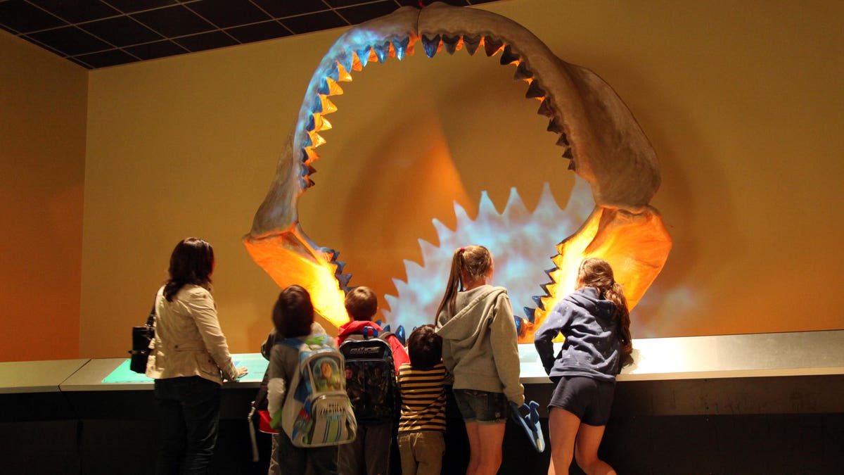 In this March 16, 2011, photo children look at the Shark Jaw of a Megalodon, a prehistoric shark, at the Museum of Nature and Science in Dallas. The jaw is 11 feet wide and almost 9 feet tall, it consists of 182 teeth collected from South Carolina rivers. The jaws go on sale in June at Heritage Auctions in Dalas _ the starting bid is $625,000. (AP Photo/Rich Matthews)