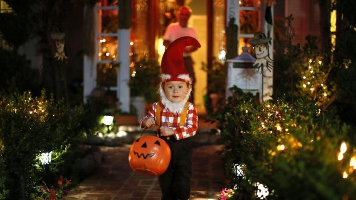 A boy collects candy as he goes trick-or-treating for Halloween in Santa Monica, California, October 31, 2012. REUTERS/Lucy Nicholson 