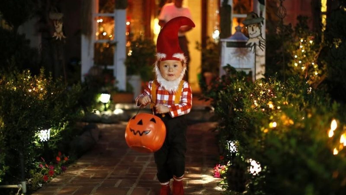 A boy collects candy as he goes trick-or-treating for Halloween in Santa Monica, California, October 31, 2012. REUTERS/Lucy Nicholson
