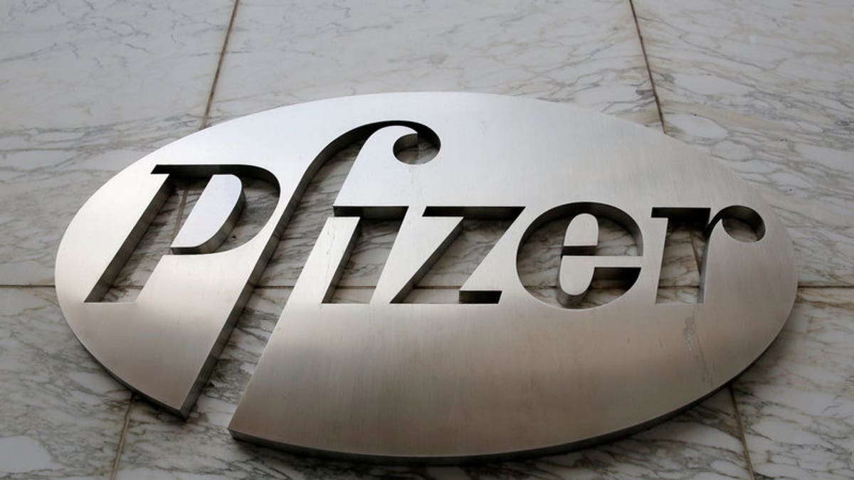 FILE PHOTO - The Pfizer logo is seen at their world headquarters in Manhattan, New York
