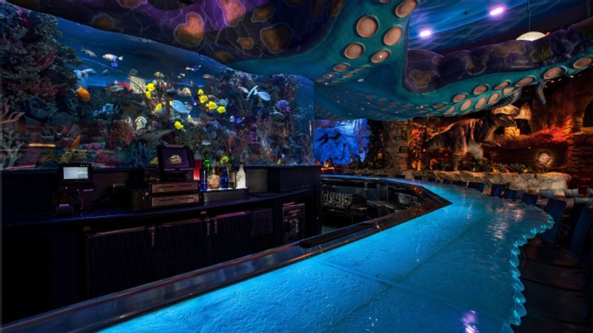 Giant fish tank bursts open at Downtown Disney restaurant