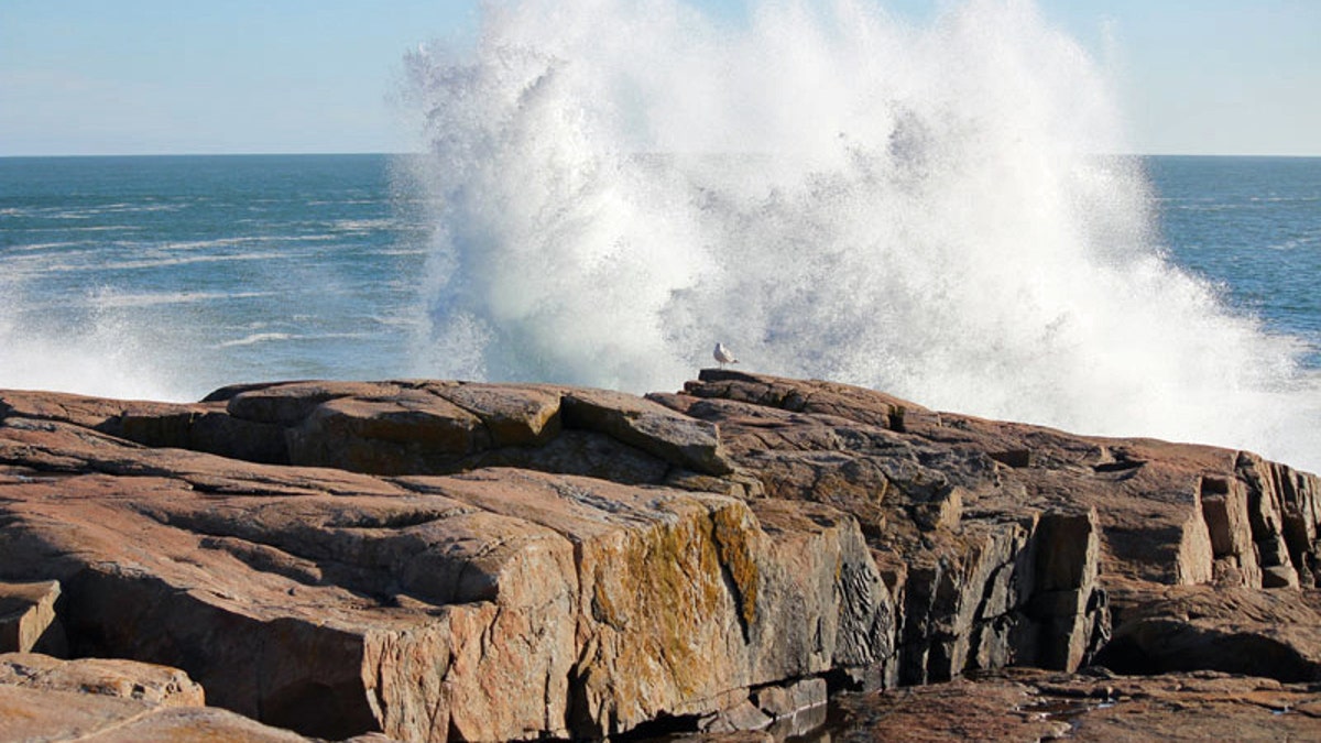 Schoodic Point - Acadia National Park