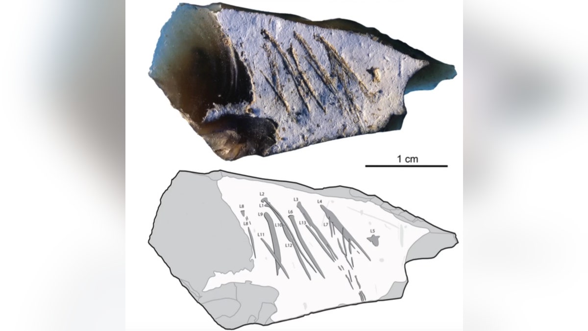 3022b3d7-neanderthal