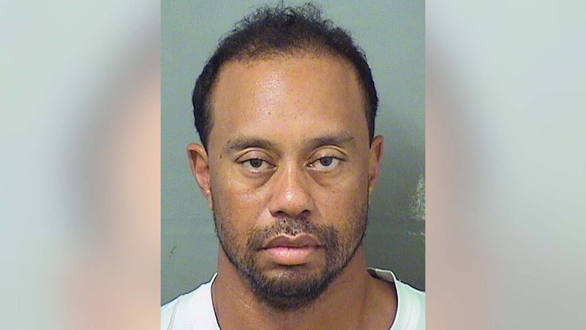 tiger woods mug