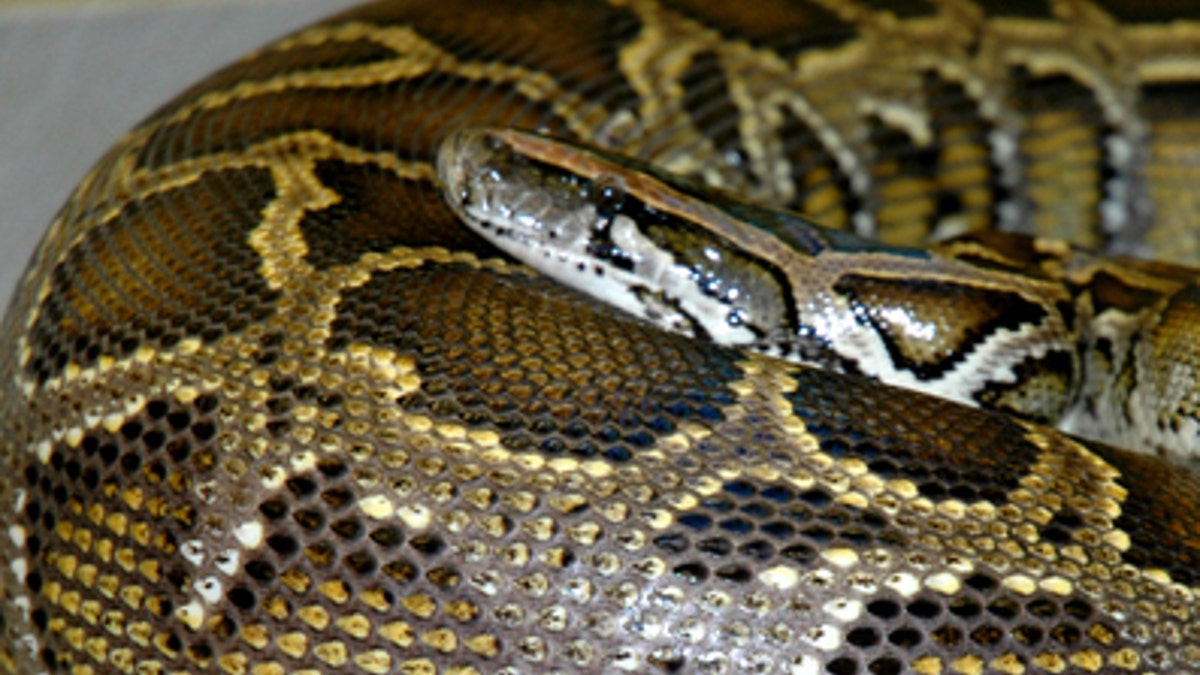 03e43e90-