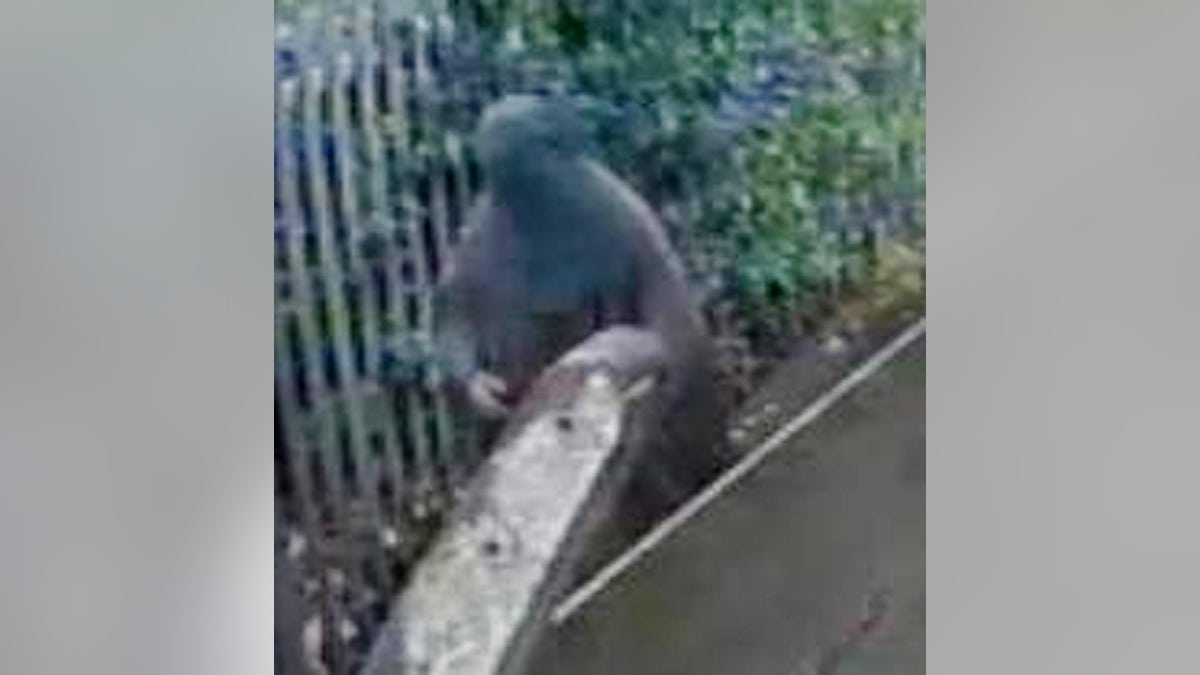 Britain Terror Suspect