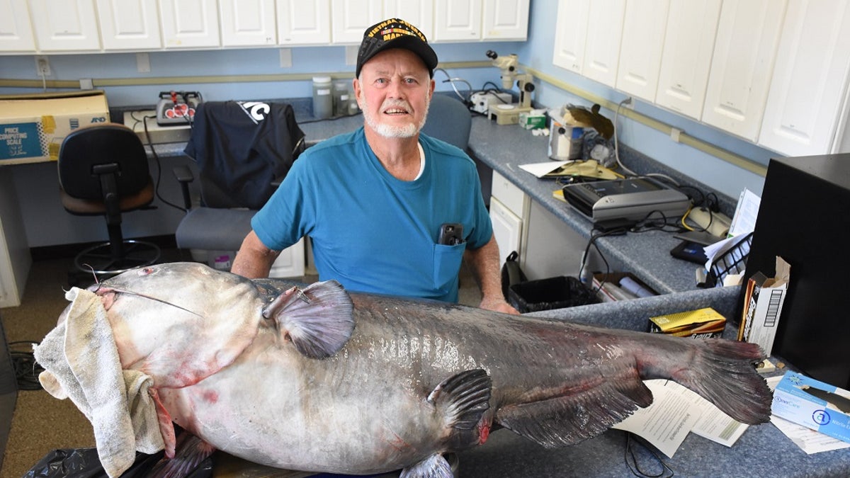 Florida fisherman catches 120-pound 'granddaddy of all catfish