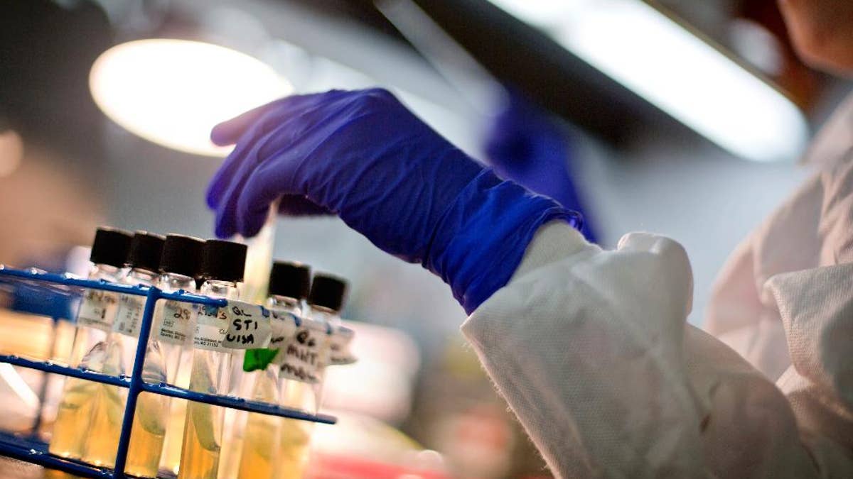 FILE - In this Monday, Nov. 25, 2013 file photo, a microbiologist works with tubes of bacteria samples in an antimicrobial resistance and characterization lab within the Infectious Disease Laboratory at the Centers for Disease Control and Prevention in Atlanta. According to a report released by the CDC on Friday, Sept. 9, 2016, a fourth U.S. case has been identified of a person infected with E. coli bacteria resistant to an antibiotic used as a last resort treatment. But the good news is none of these cases seems to be spreading to others. (AP Photo/David Goldman)