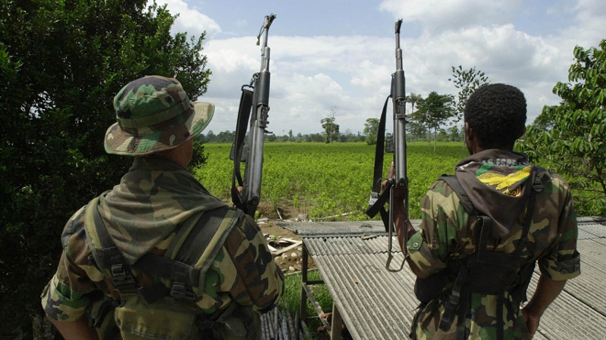 384090 01: ***EXCLUSIVE*** Two members of the AUC, the United Self Defense Force of Colombia, the extreme right paramilitary group, patrol a coca leaf plantation where a manual eradication of the coca leaves has gone into effect January 8, 2001 in the province of Putumayo, Colombia. Since the U.S. aid plan for Colombia began last December 15, the AUC are manually destroying coca leaves with machetes in and around the vast areas of coca leaf plantations south of Putumayo. The Colombian leftist guerrilla group, the FARC, is attempting to take control of areas that were under their control, not more than a year ago. (Photo by Piero Pomponi/Newsmakers)