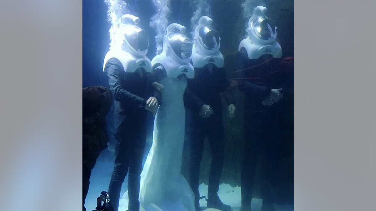 45d2090c-underwater wedding