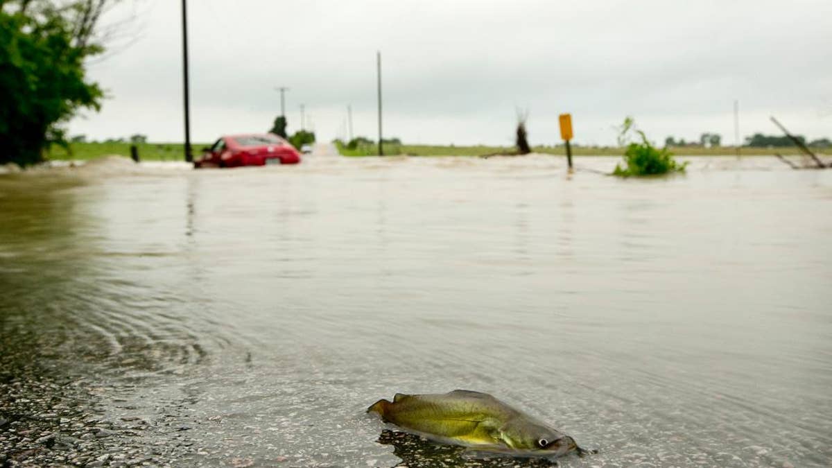 Tornadoes Destroy Homes, Injure At Least 12 In Oklahoma; Flooding ...