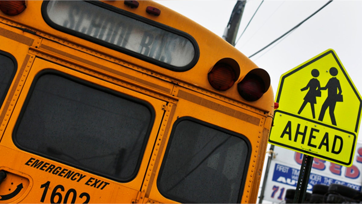 47a51565-USA-NEWYORK/SCHOOLBUS