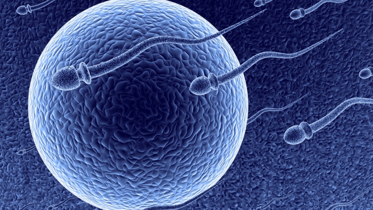 Pembekuan sperma meningkat, kata para ahli