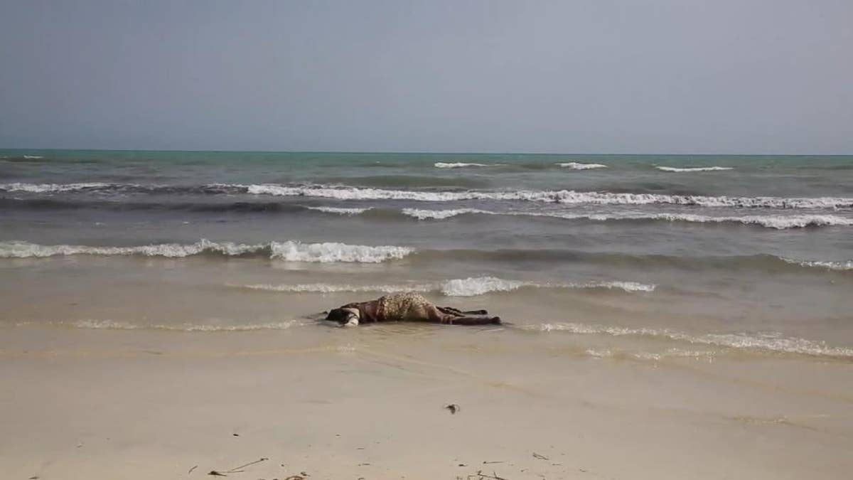 FILE -- In this June 2, 2016 file photo, the body of a migrant lays on the beach, one of more than 100 bodies pulled from the Mediterranean Sea after a smuggling boat carrying mainly African migrants sank, near the western city of Zwara, Libya. In a Wednesday, July 6, 2016 report, Human Rights Watch warned that EU measures on curbing the flow of migrants from Libya to the bloc risk condemning asylum-seekers to 