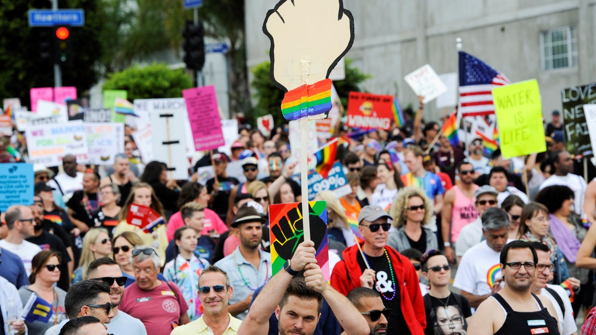 People participate in a Resist March that replaced the annual Pride Parade in Los Angeles, California, U.S., June 11, 2017. REUTERS/Andrew Cullen TPX IMAGES OF THE DAY - RTS16LVB