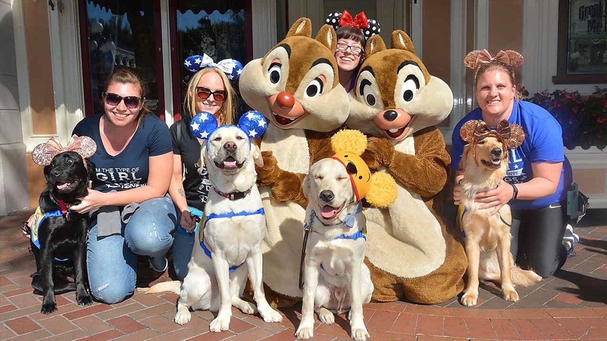 588d74ac-disney dogs