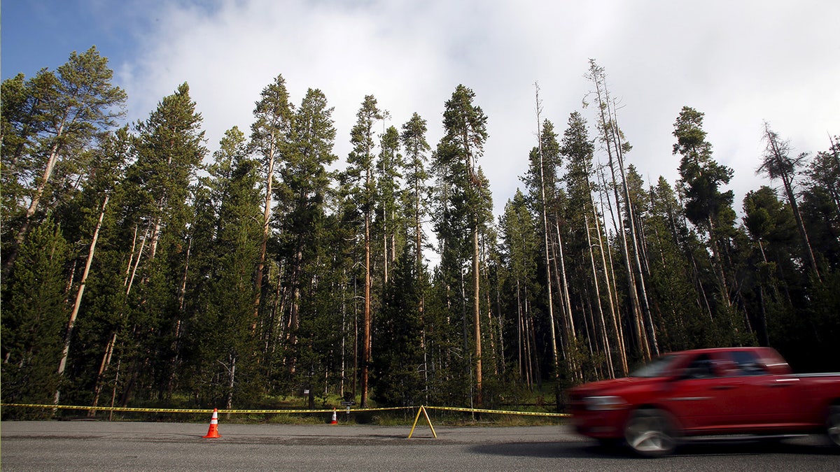 bears wyoming reuters