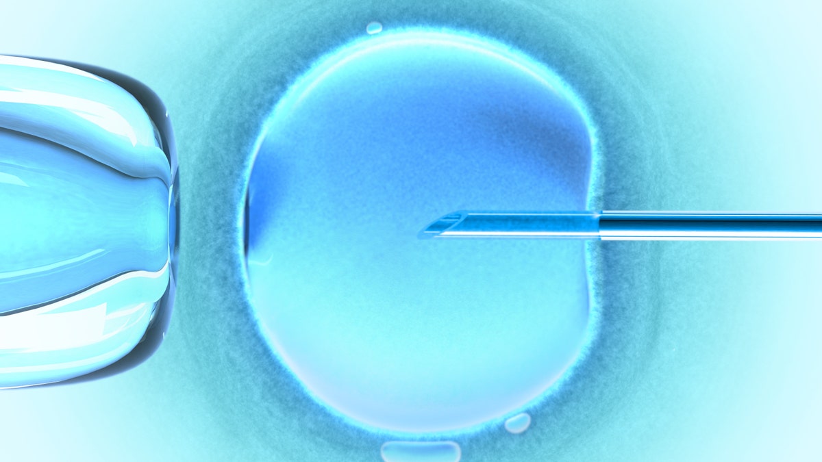 5f0d3795-ivf istock large