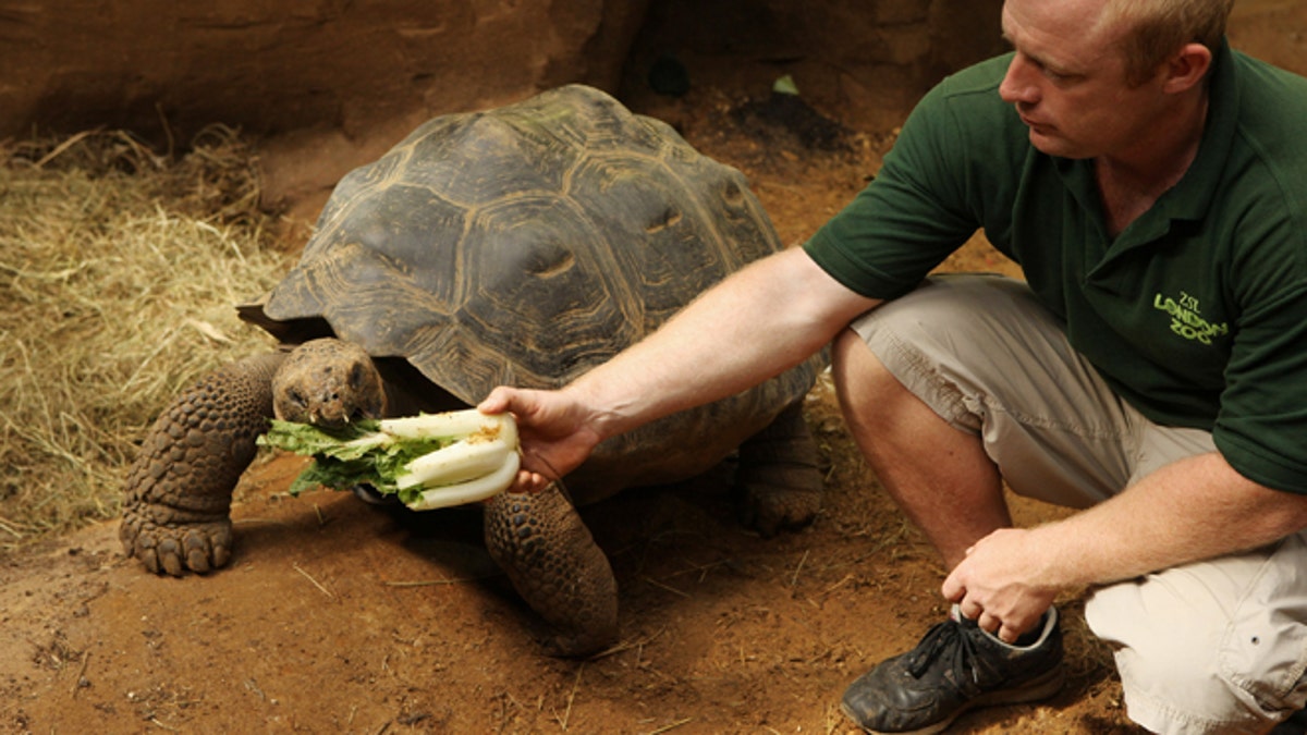 Possible AI causes closure of two areas in Galapagos Islands