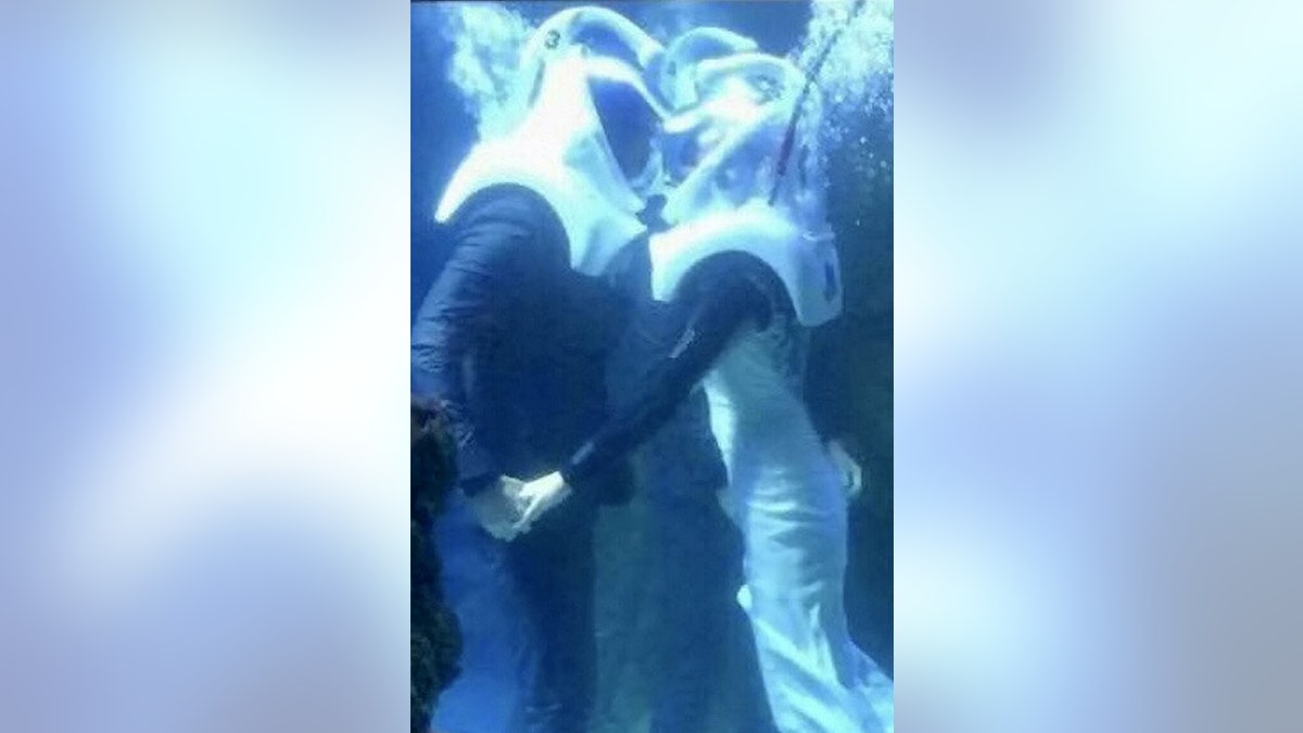 underwater wedding