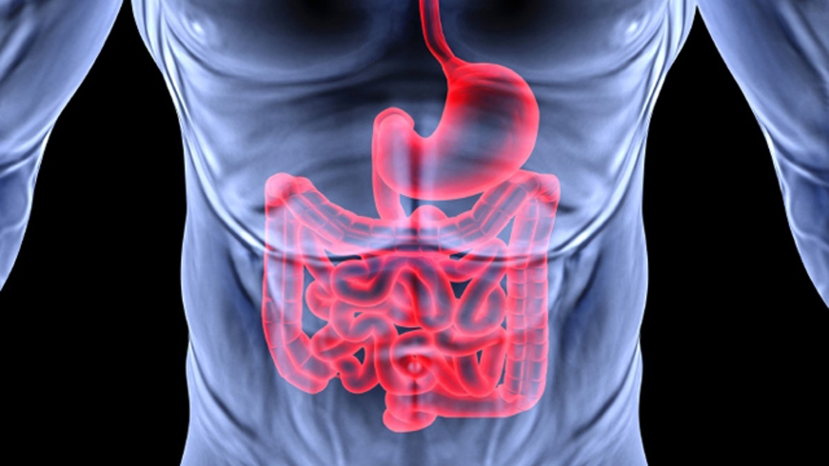 Gas in the Digestive Tract