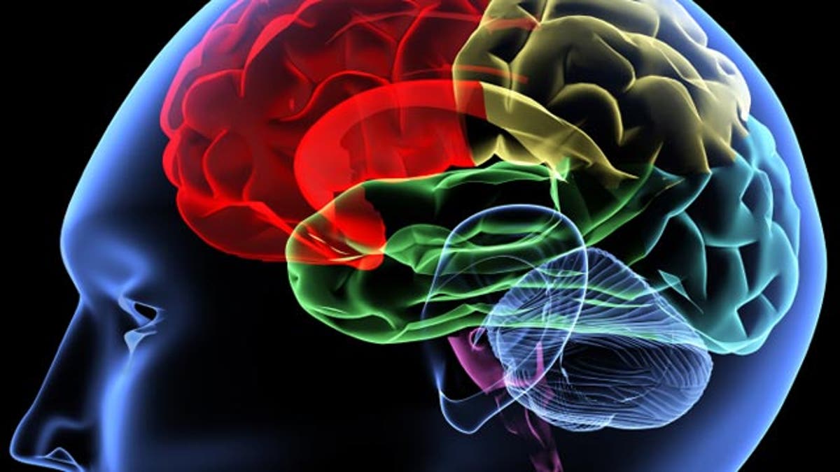human brain after stroke