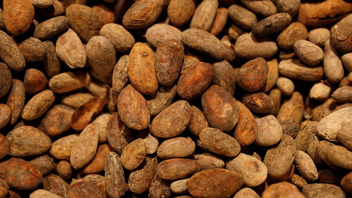 cocoa beans reuters