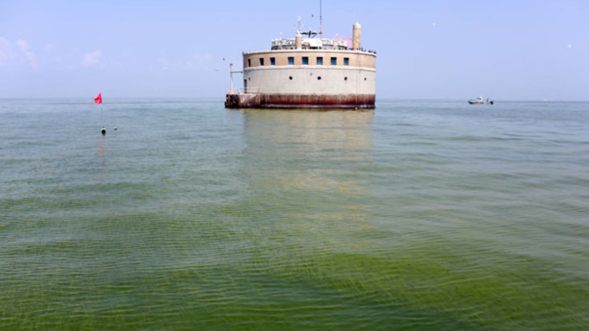 Lake Erie Algae