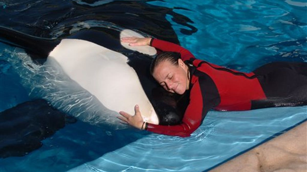 663598a0-SeaWorld Death