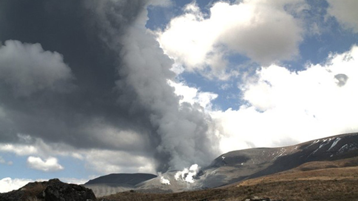 New Zealand Volcano Erupts