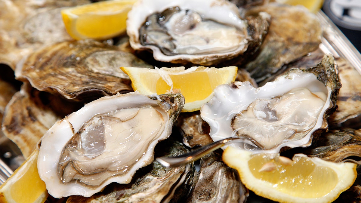 oysters istock