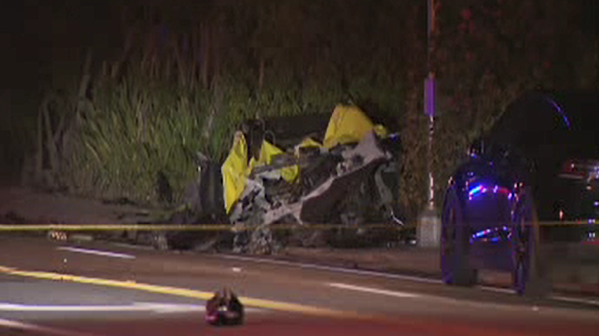 tesla crash fl wsvn