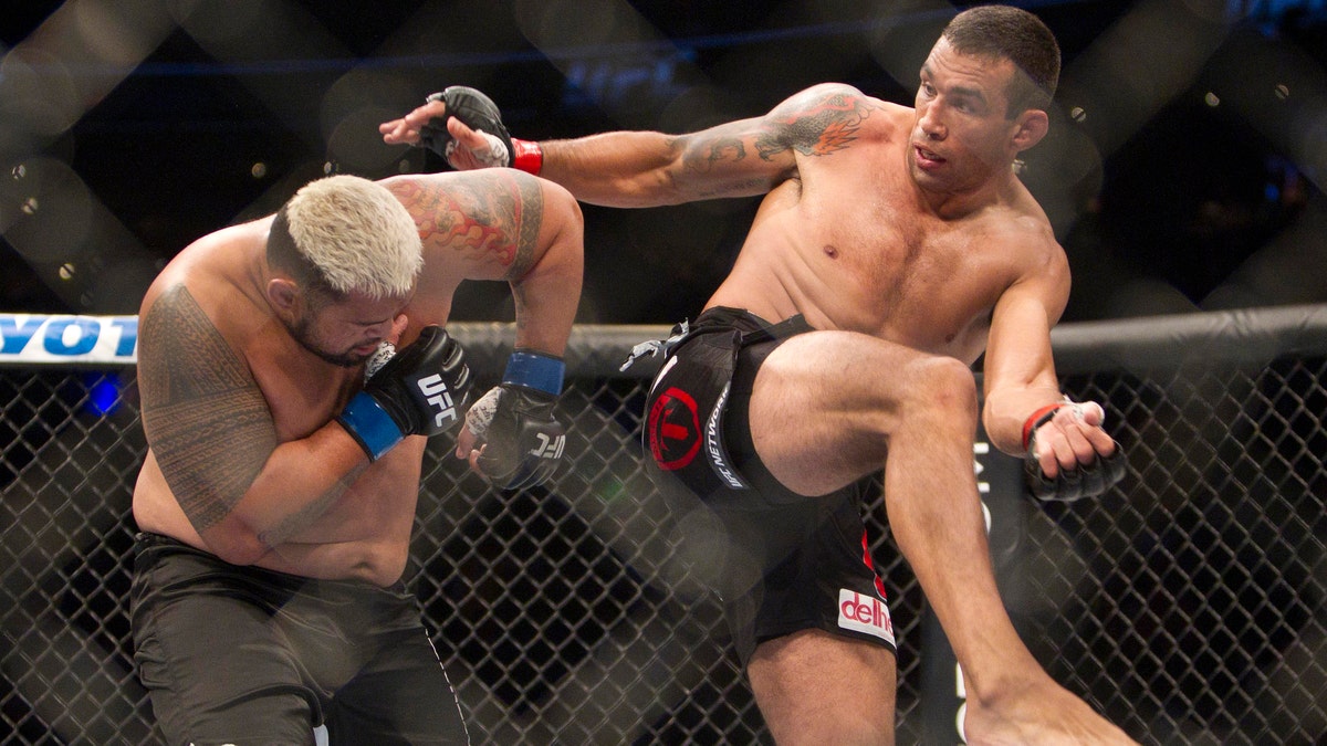 Mexico UFC Hunt Werdum