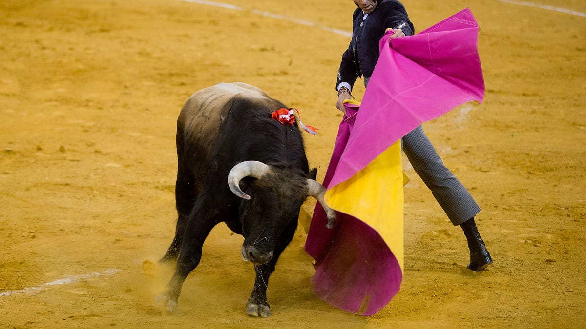 71dceae4-478346893GA060_Bullfighting