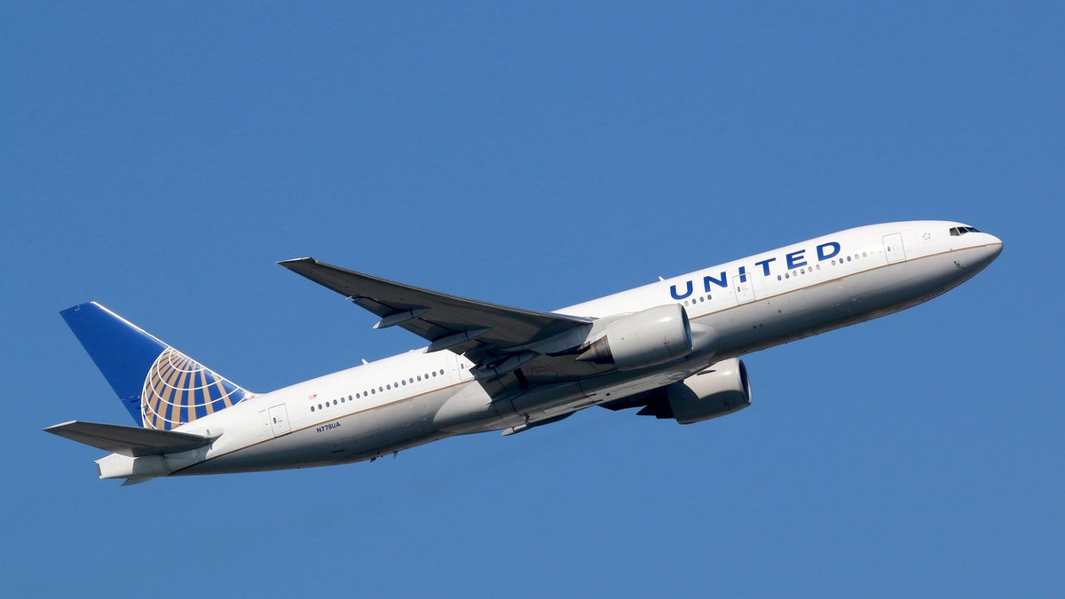 United Airlines settles with family over dog who died in overhead bin