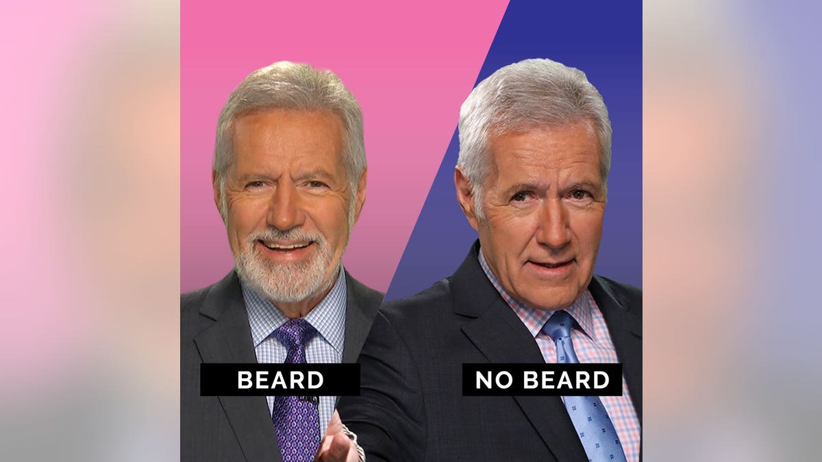 7334b685-beard