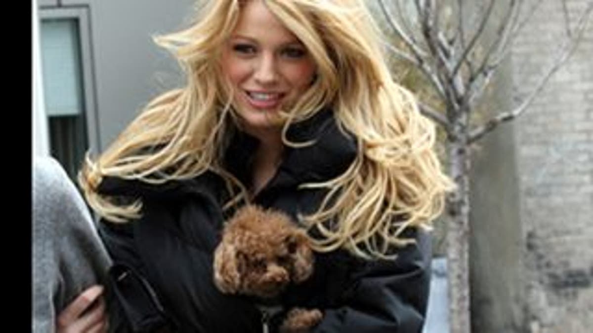 32 Adorable Celebrity Dogs | Fox News