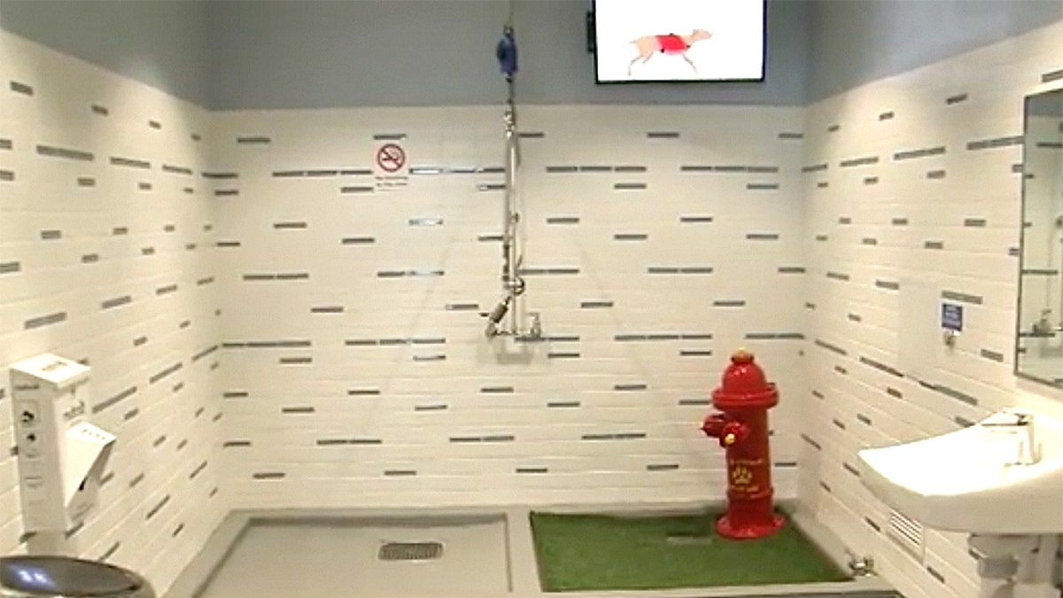 7f412c5a-dog bathroom 1 FOX5 Atlanta