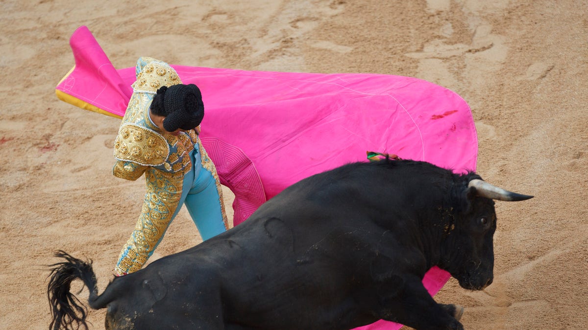 Mexican novillero bullfighter Sergio Flores performs with a bull during a bullfight on the eve of the 2011 San Fermin festival in Pamplona, on Tuesday, July 5, 2011 in Pamplona, Spain. Novilleros, is the stage prior to becoming a 'matador' where bullfights are performed with young bulls.(AP Photo/Daniel Ochoa de Olza)