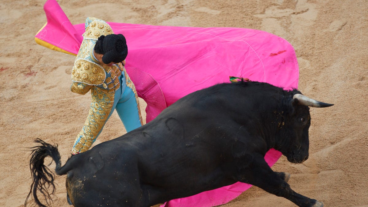 Mexican novillero bullfighter Sergio Flores performs with a bull during a bullfight on the eve of the 2011 San Fermin festival in Pamplona, on Tuesday, July 5, 2011 in Pamplona, Spain. Novilleros, is the stage prior to becoming a 'matador' where bullfights are performed with young bulls.(AP Photo/Daniel Ochoa de Olza)