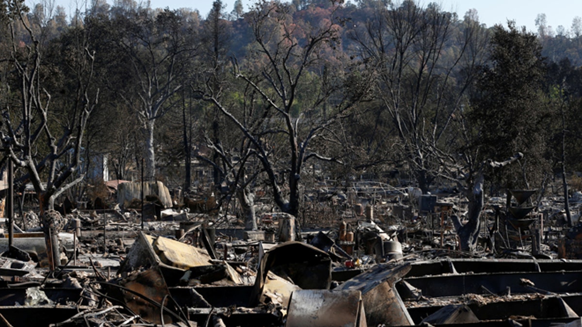 Lower Lake decimated