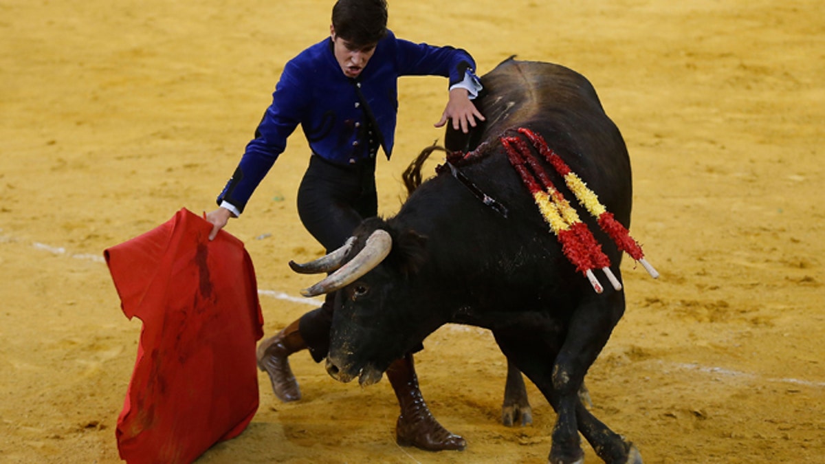 9412823f-478346893GA033_Bullfighting