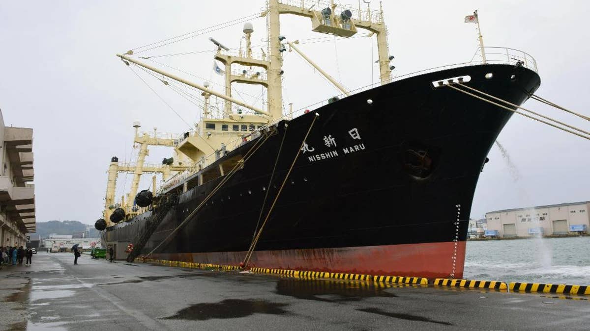 Japanese whaling vessel Nisshin Maru is anchored in Shimonoseki, western Japan, Friday, March 31, 2017. Japanese whaling fleet has returned with 333 whales it caught in the Antarctic, filling its planned quota for a second straight year under a revised program following an international court ruling. The Fisheries Agency said Friday that Japan’s five-ship fleet killed 333 minke whales during the four-month expedition. (Souichiro Tanaka/Kyodo News via AP)
