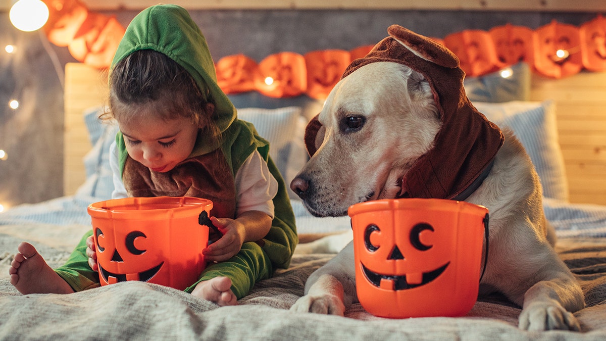 kids, candy and dog