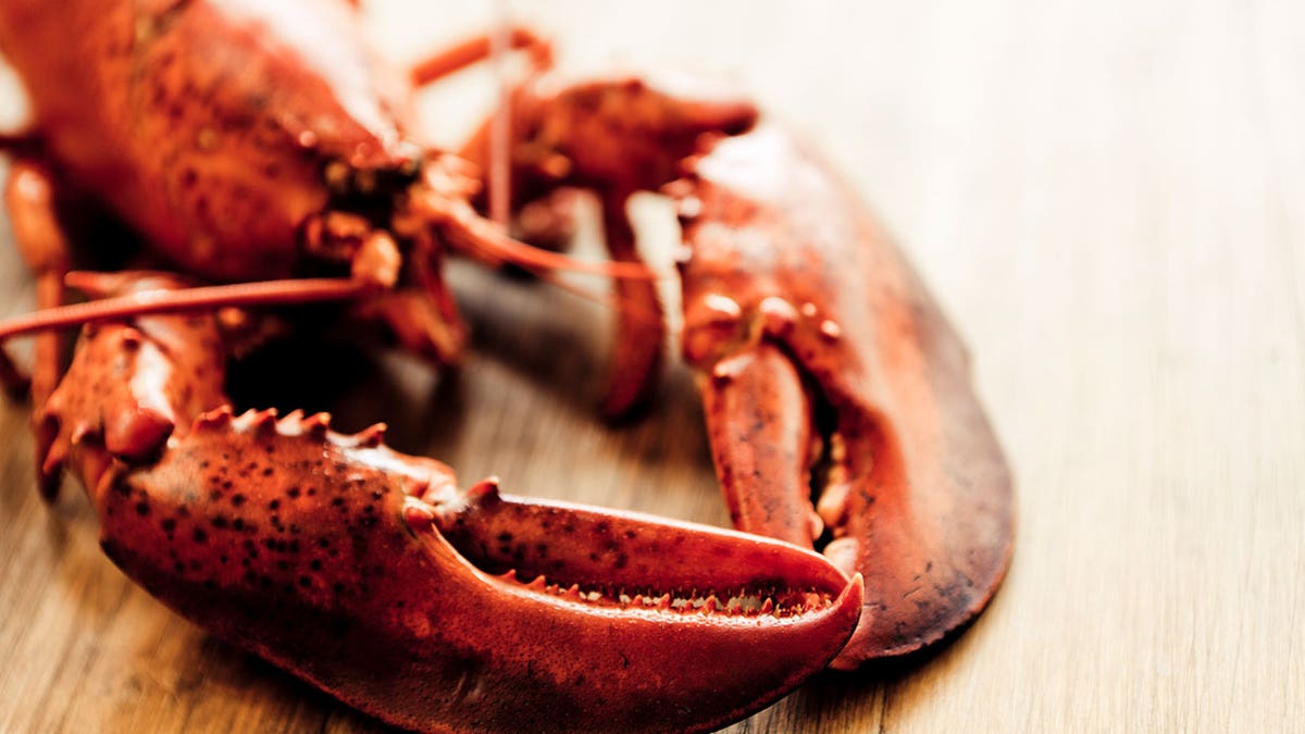 9cbd2622-lobster istock