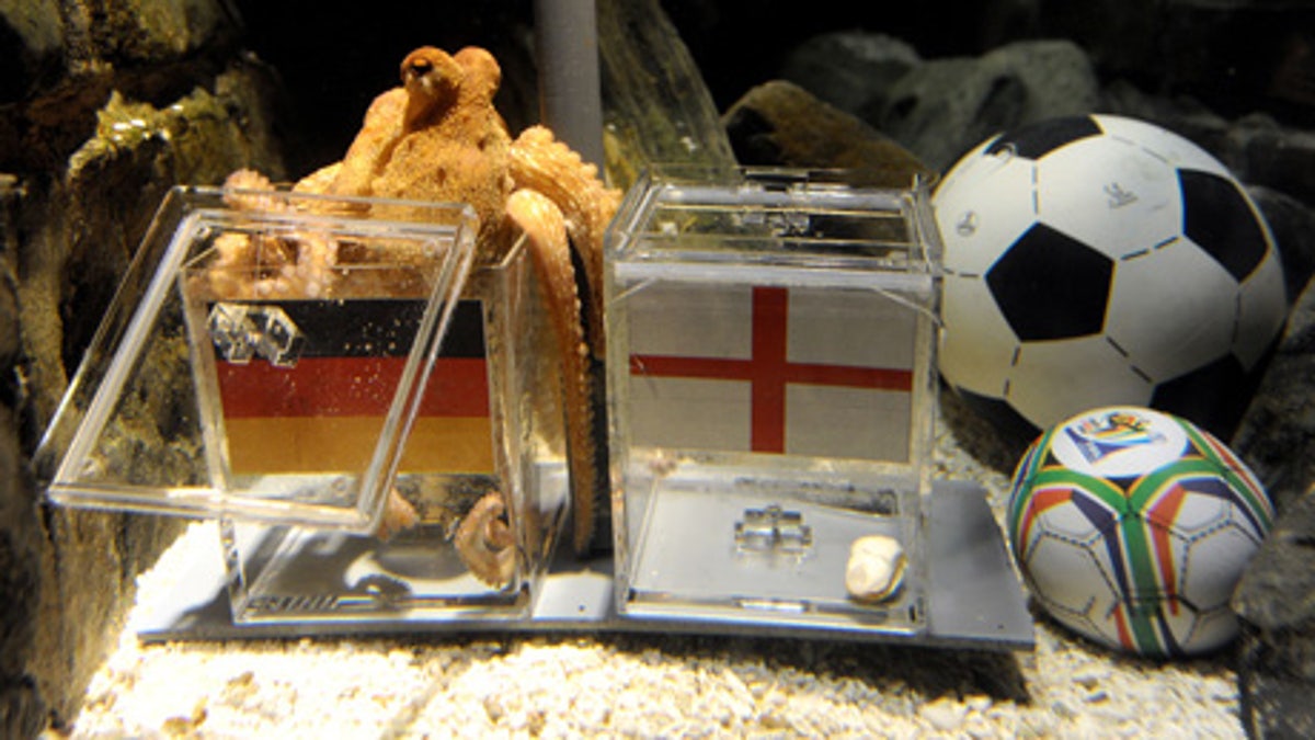 Germany Soccer Paul the Octopus Death