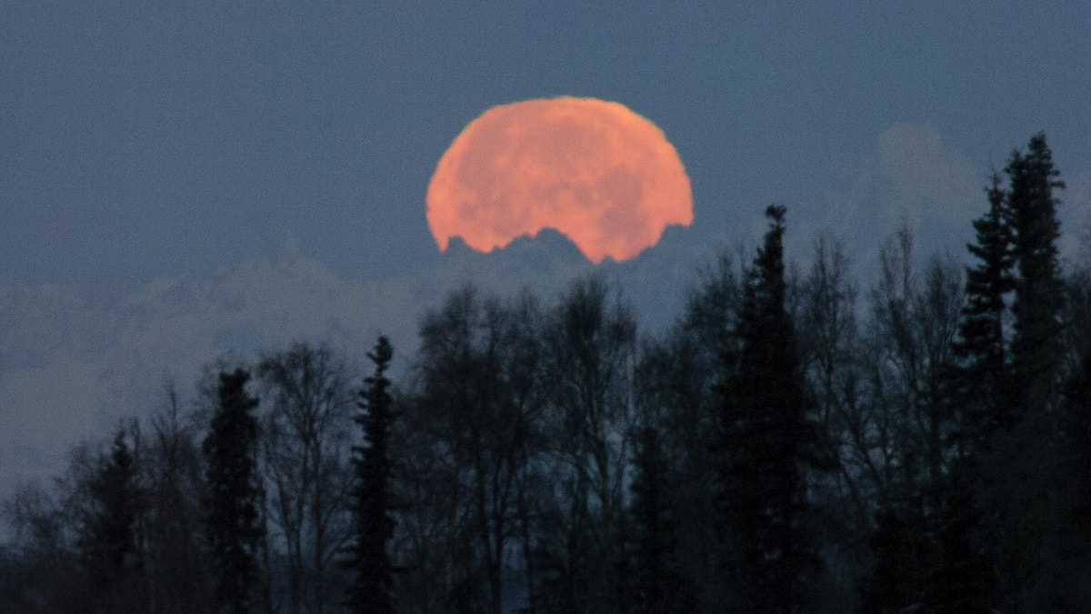 The full moon disappears from view in Soldotna, Alaska, as it sets Wednesday, Nov. 28, 2012, behind peaks in the Alaska Range shortly before sunrise. Temperature variations in the atmosphere distort its shape. (AP Photo/Peninsula Clarion, M. Scott Moon) MAGS OUT; NO SALES