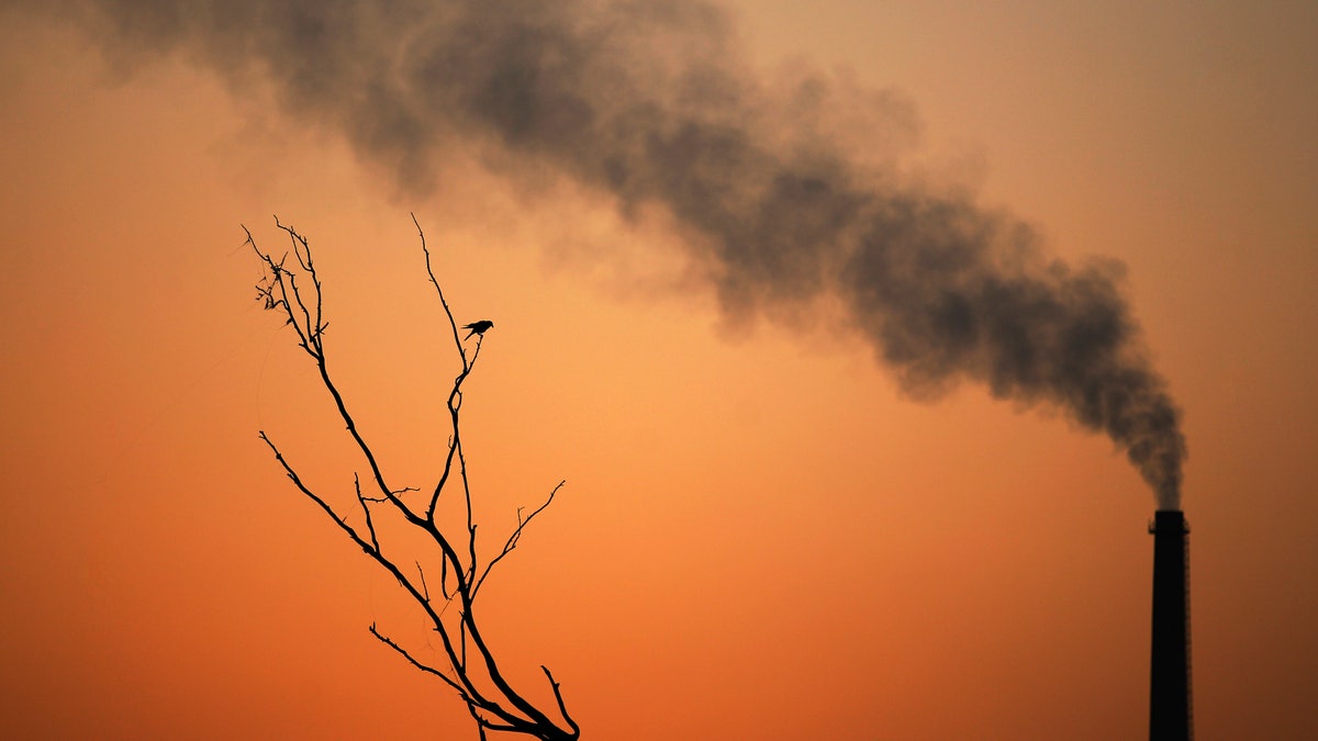 APTOPIX India UN Climate Summit